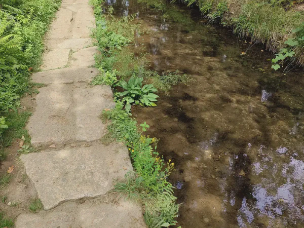 Img20250827155109