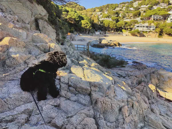 2025 11 26 Blanes 4