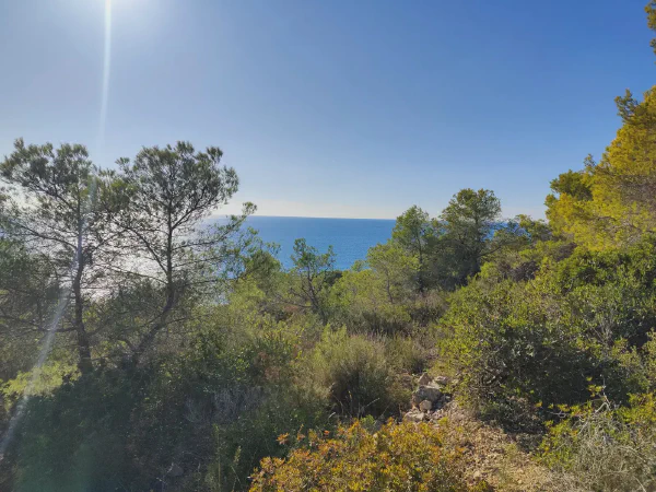 2025 12 03 Sitges 5