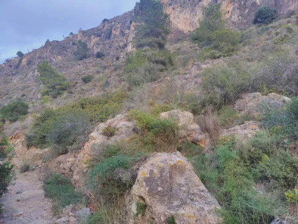2025 12 10 Cullera 15