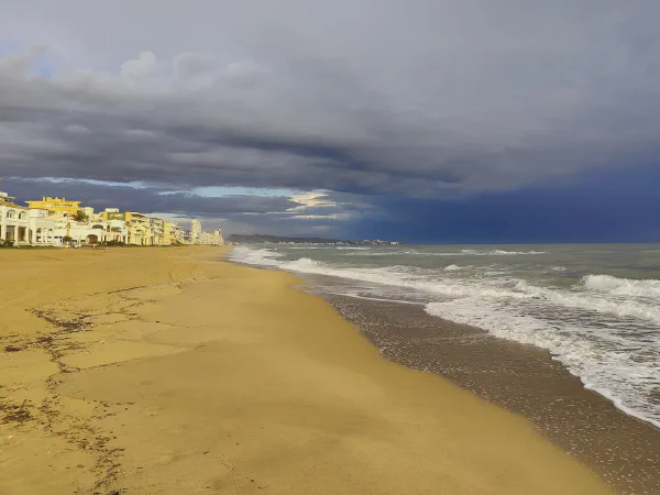 2025 12 15 Photo