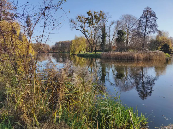 2025 11 19 Photo 11