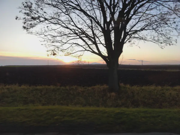 2025 11 19 Photo 13