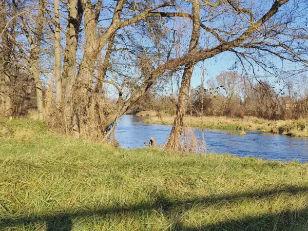 2025 11 19 Photo 20