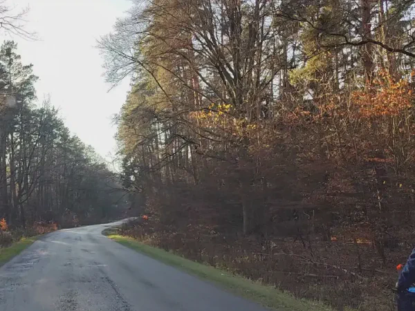 2025 11 19 Photo 22