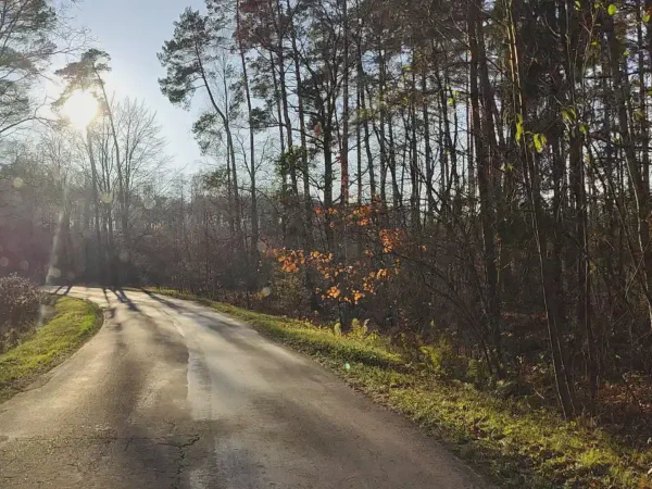 2025 11 19 Photo 23