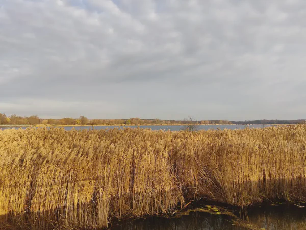 2025 11 19 Photo 2