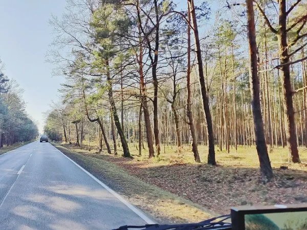 2025 11 19 Photo 9
